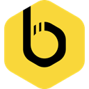beekeeper-studio icon