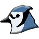 bluej icon