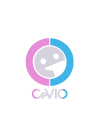 Icon for package cevio
