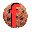 flashcookiesview icon