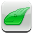 Icon for package iguana