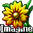 Icon for package imagine-full