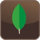 Icon for package mongodb-compass-isolated