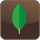 mongodb-compass-isolated icon