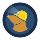 mullvad-app icon