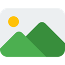 pingo icon