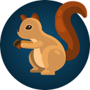 squirreldisk icon