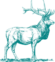 tealdeer icon