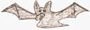 Icon for package therion